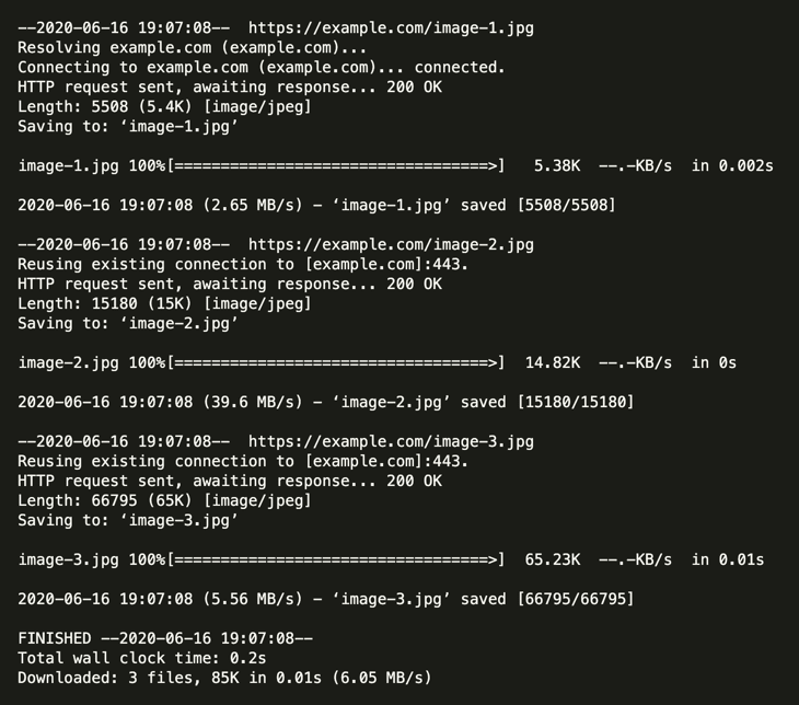 Example terminal output from wget command