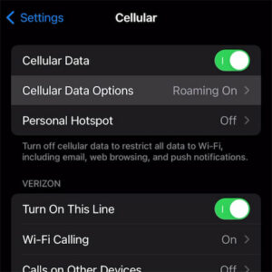 Step 2: Select Cellular Data Options.