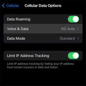 Step 3: Select Voice & Data.